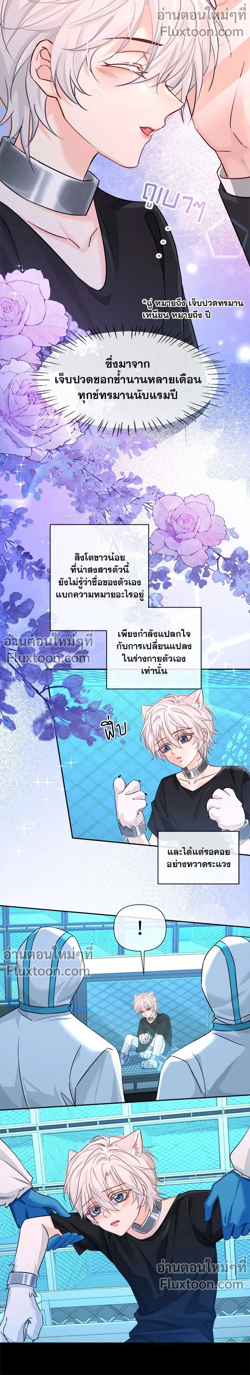 ภาพที่ 3