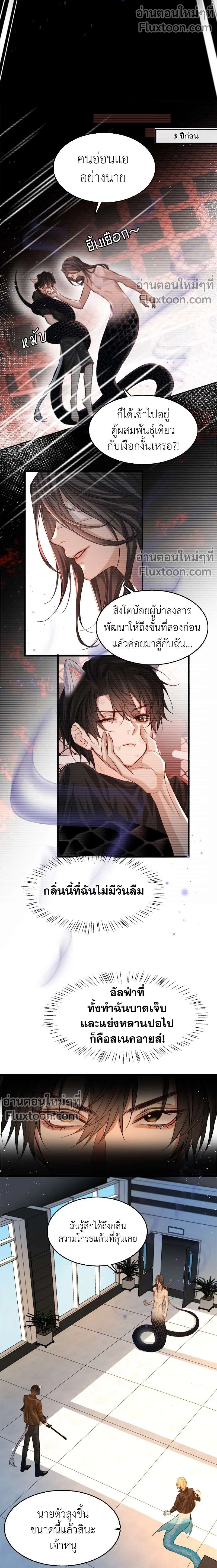 ภาพที่ 3