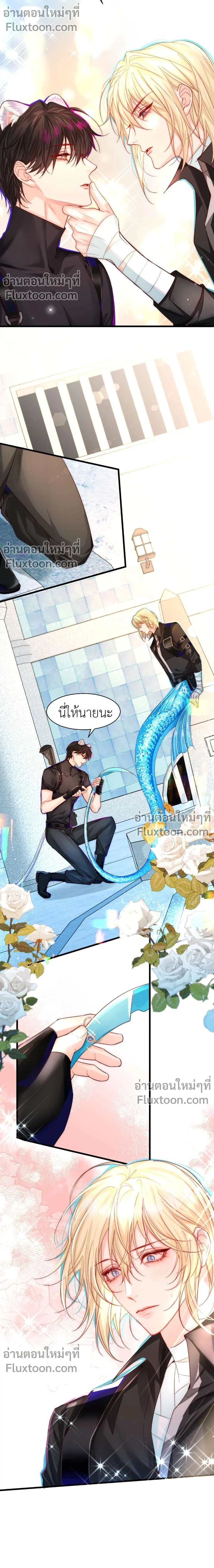 ภาพที่ 3
