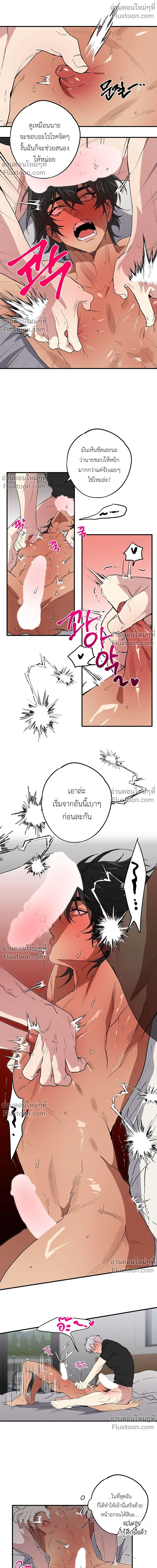 ภาพที่ 4