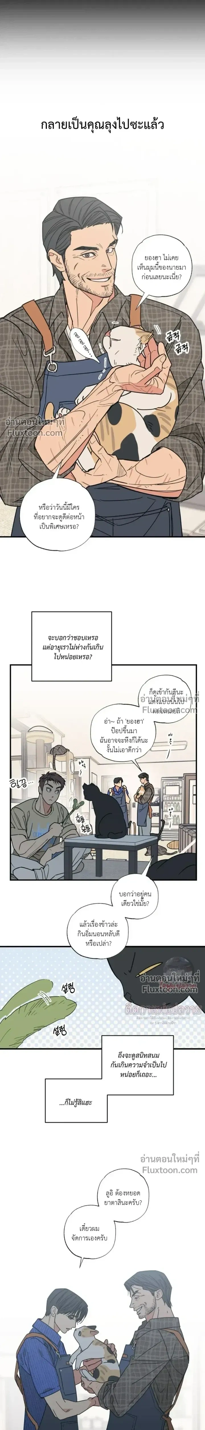ภาพที่ 3