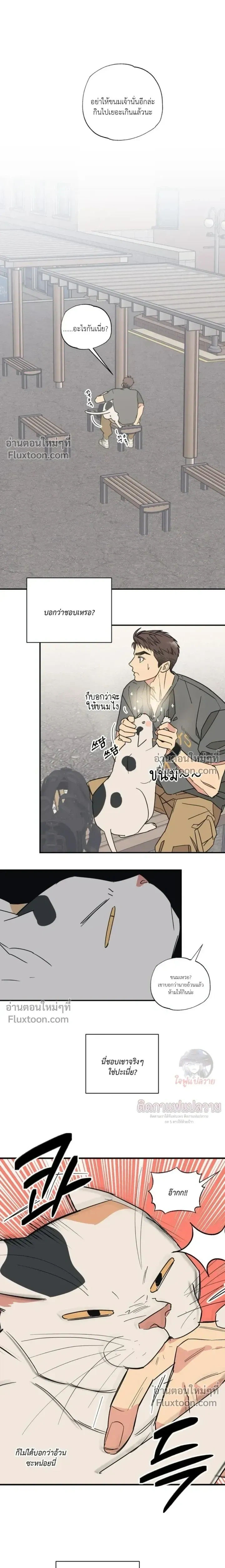 ภาพที่ 3