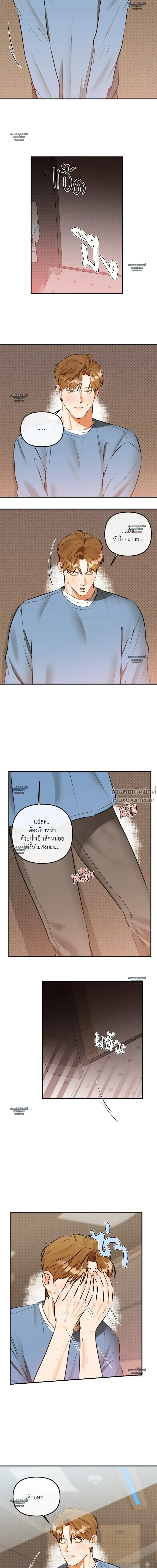 ภาพที่ 4