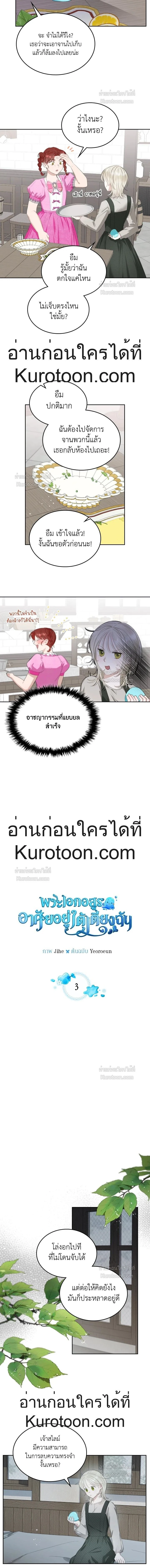 ภาพที่ 3
