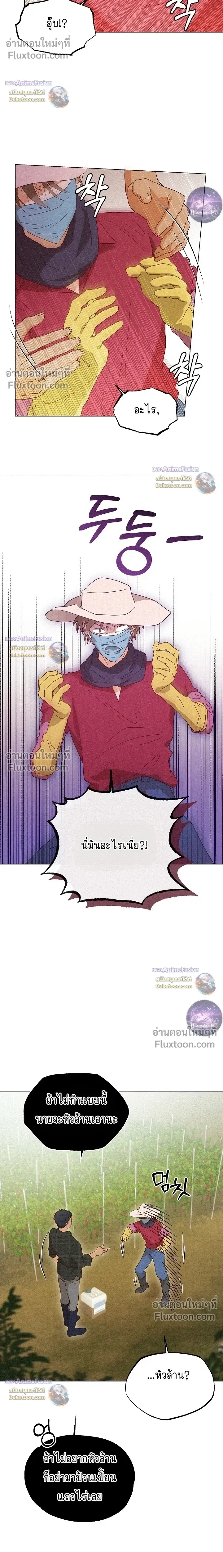ภาพที่ 4