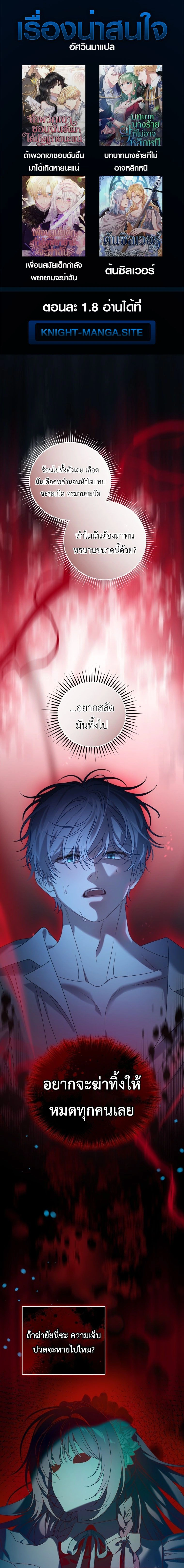 ภาพที่ 1