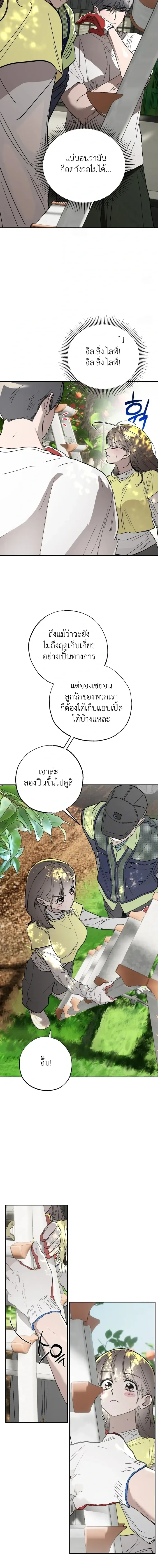 ภาพที่ 3