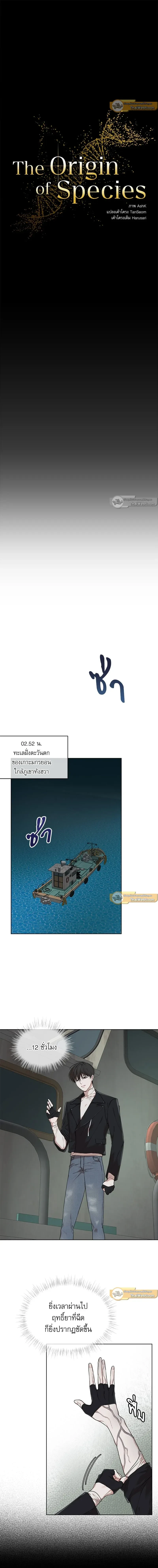 ภาพที่ 4