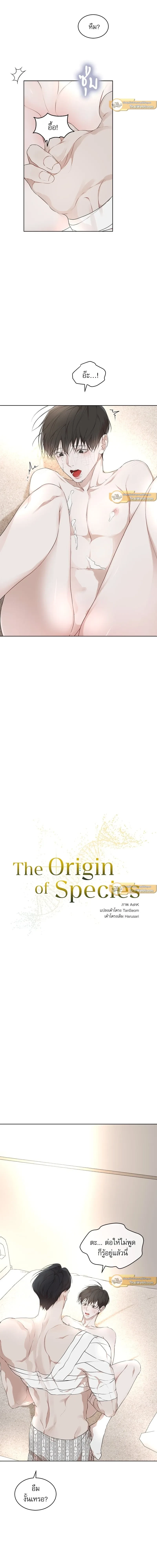 ภาพที่ 2