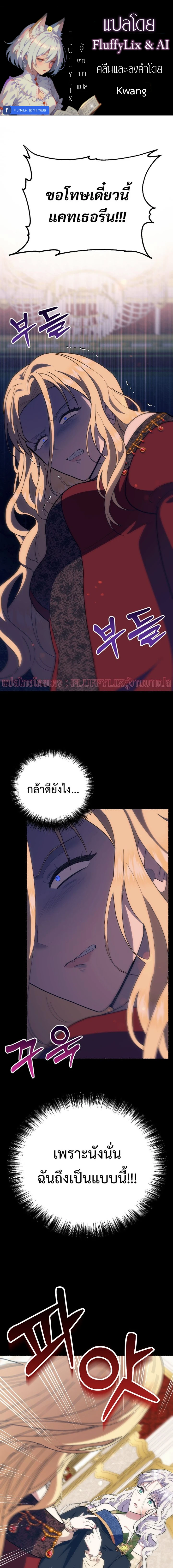 ภาพที่ 1