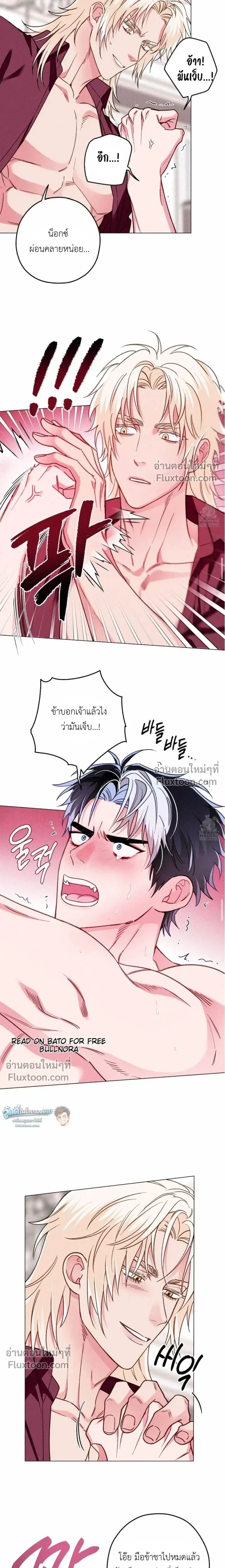 ภาพที่ 4