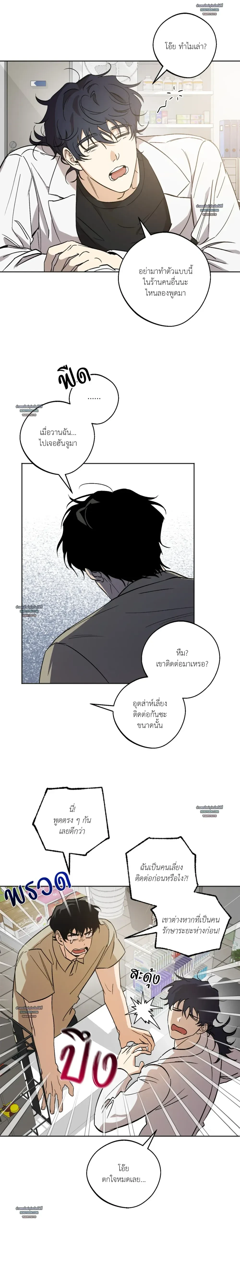 ภาพที่ 3