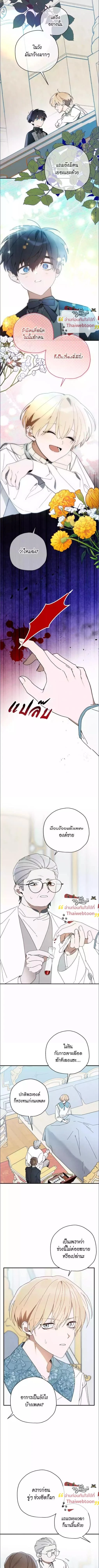 ภาพที่ 4