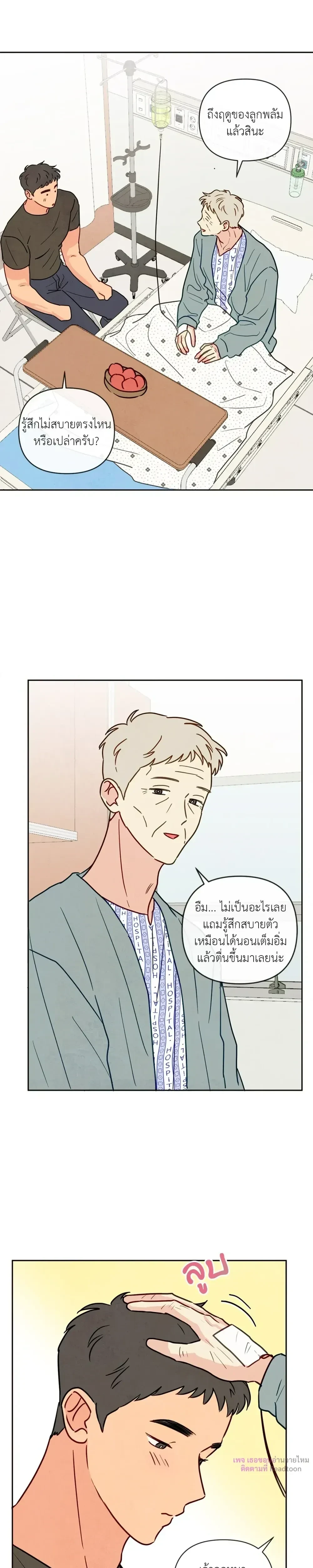 ภาพที่ 4