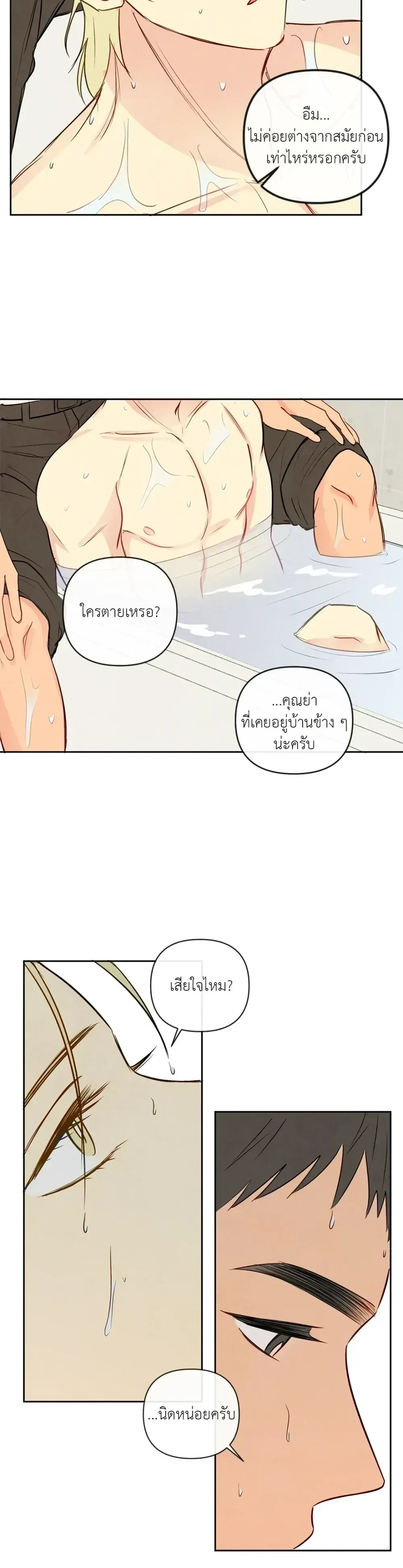 ภาพที่ 3