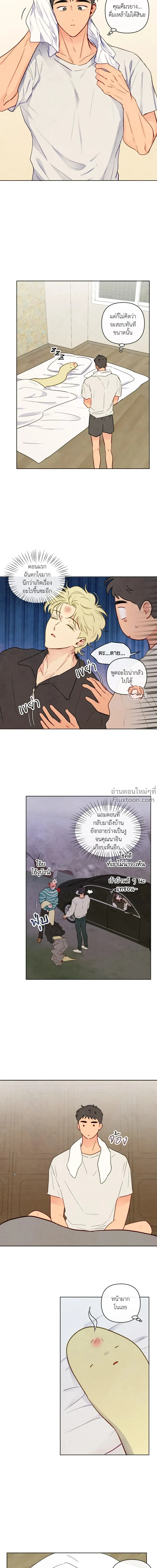 ภาพที่ 4