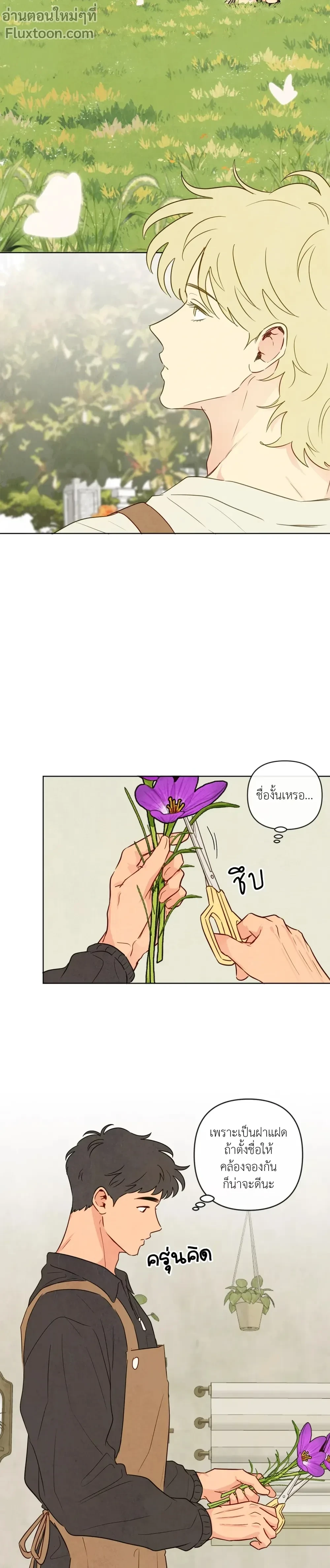 ภาพที่ 3