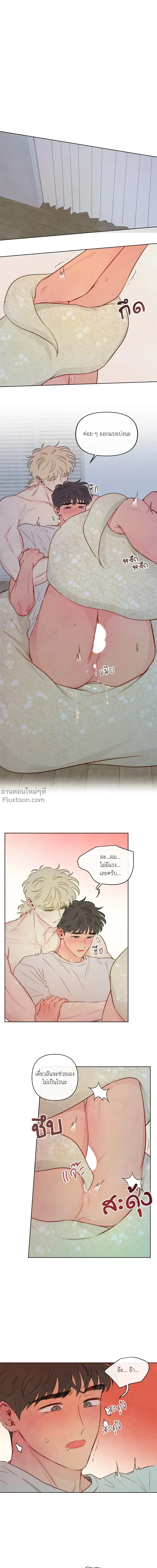ภาพที่ 4