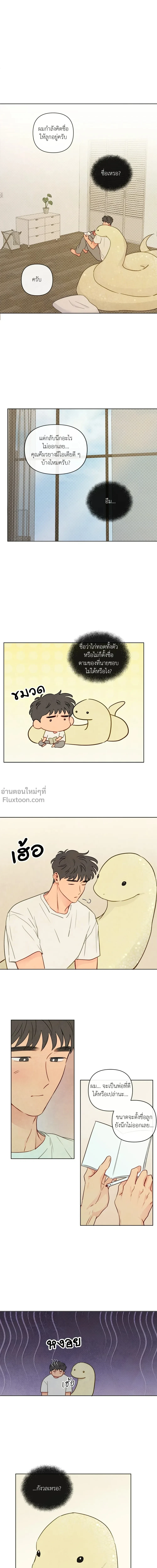 ภาพที่ 4
