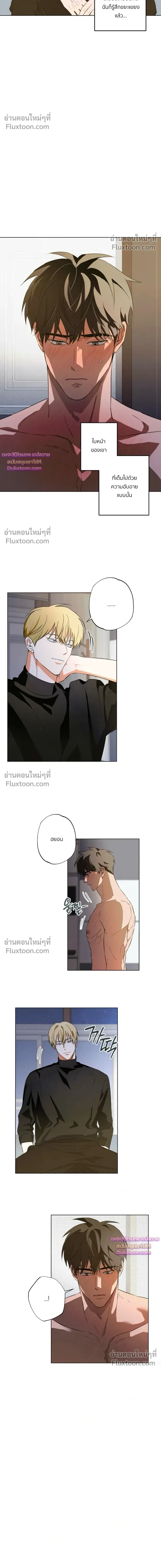 ภาพที่ 4
