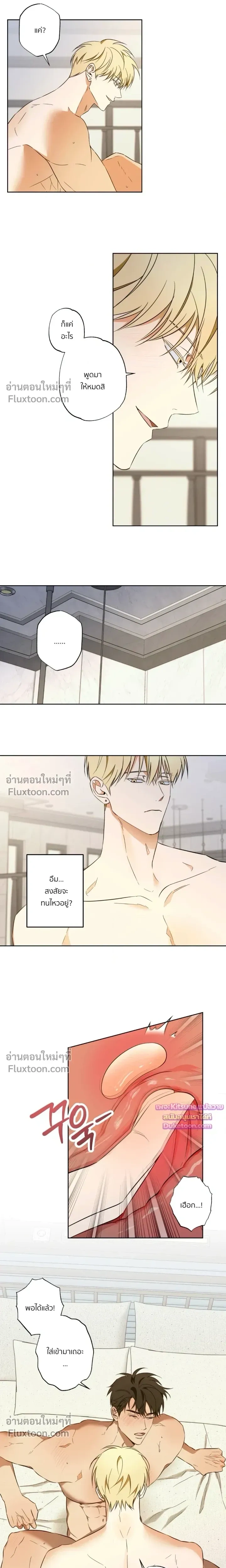 ภาพที่ 3