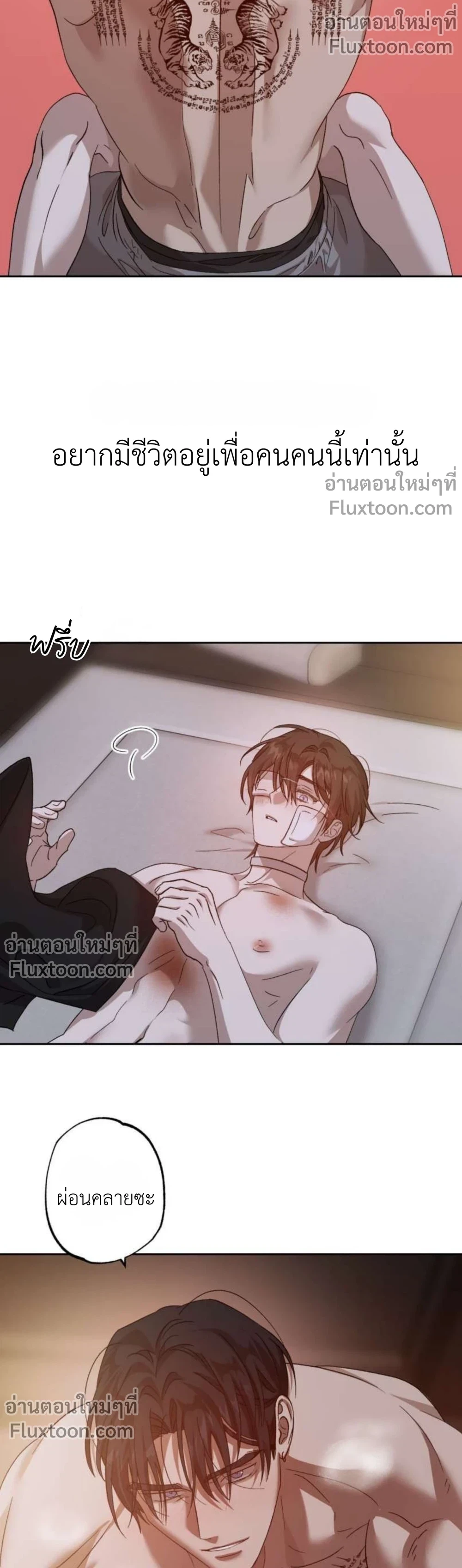 ภาพที่ 3
