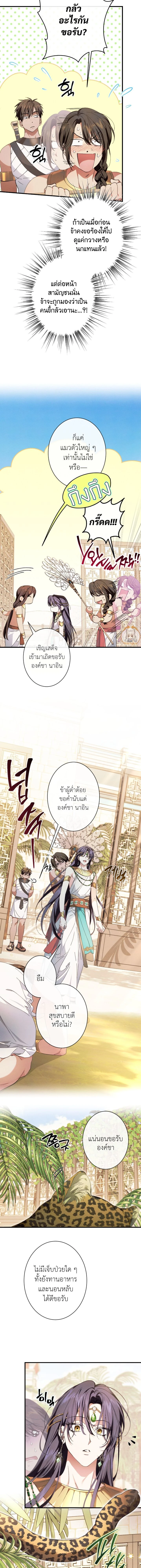 ภาพที่ 3