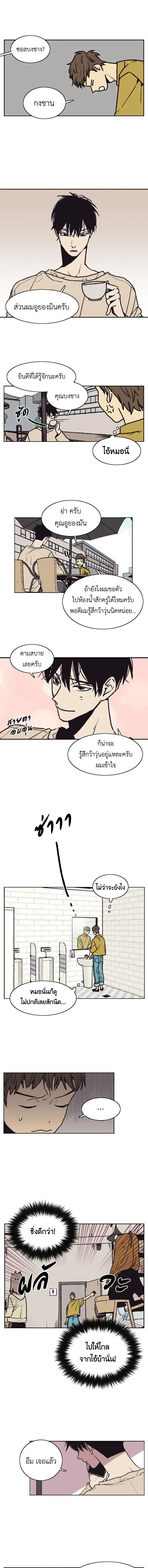 ภาพที่ 3