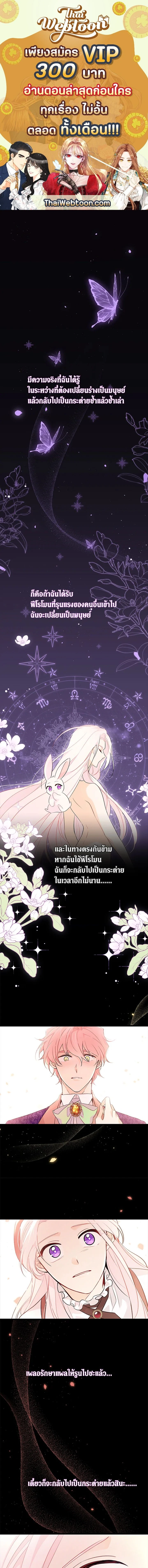 ภาพที่ 1