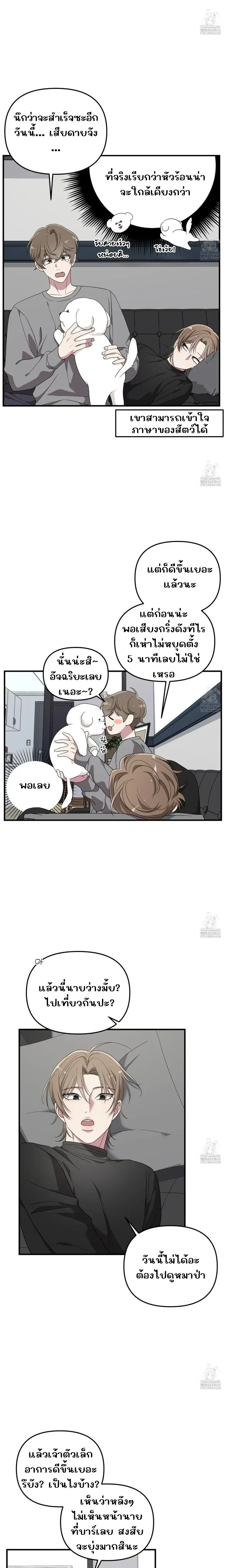 ภาพที่ 4