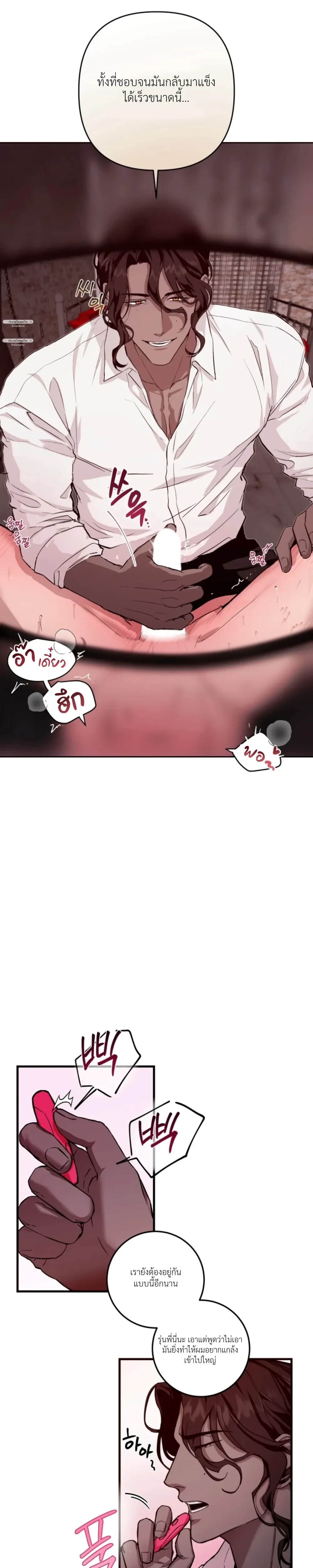 ภาพที่ 3