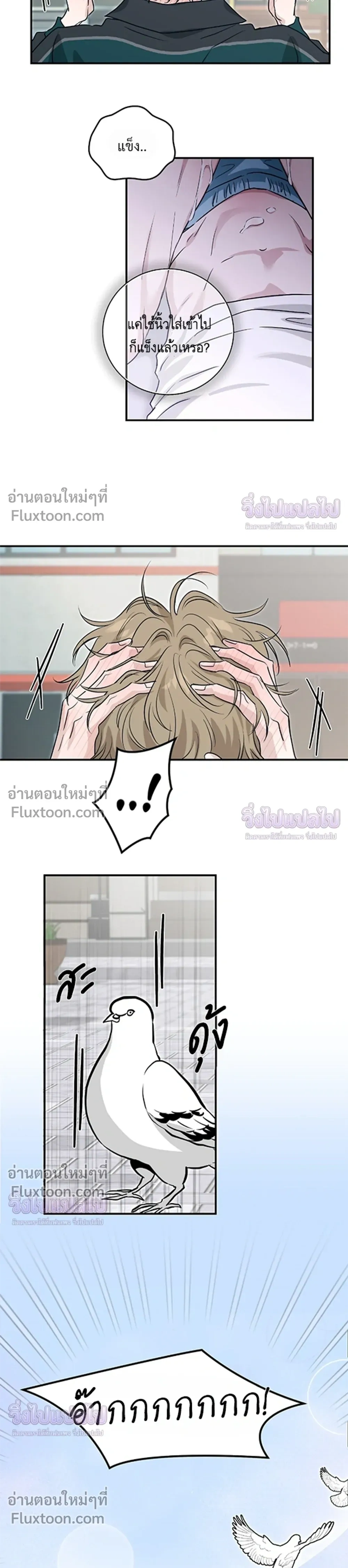 ภาพที่ 3