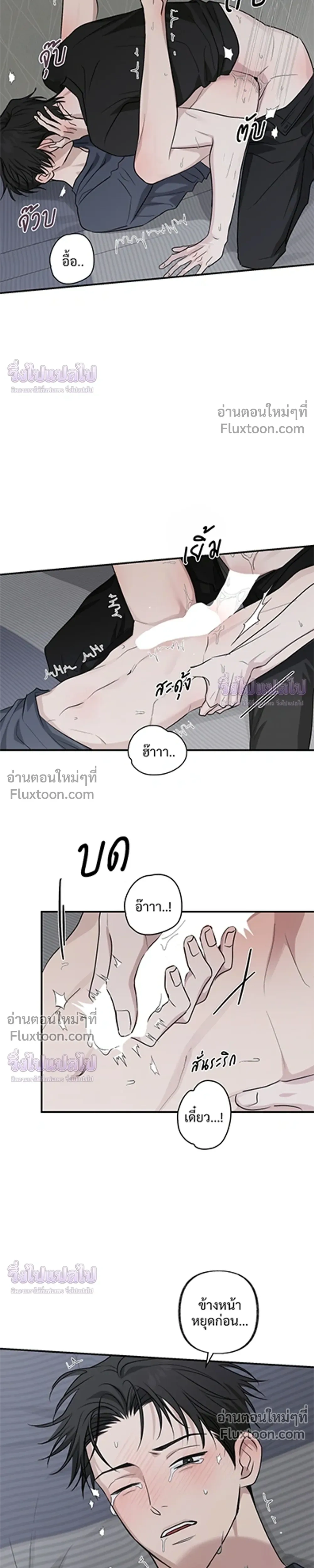ภาพที่ 3