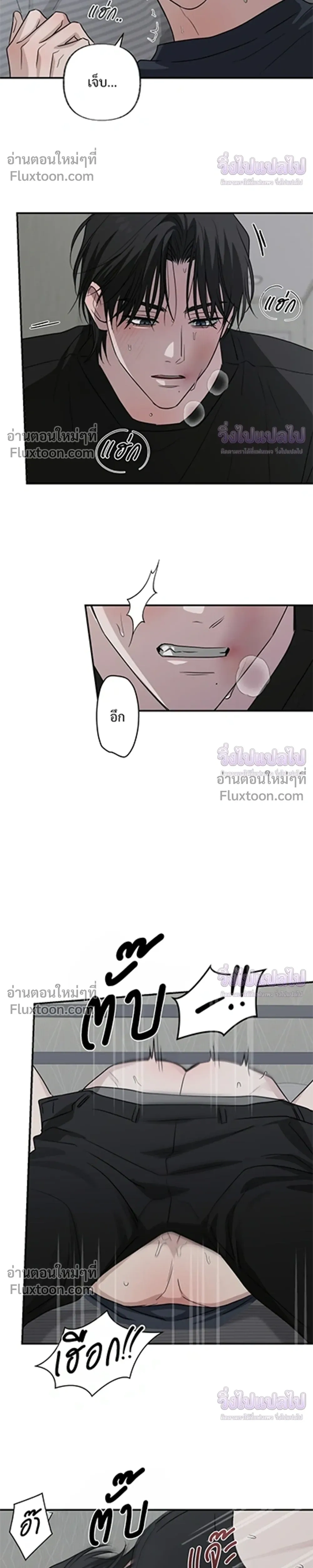 ภาพที่ 4
