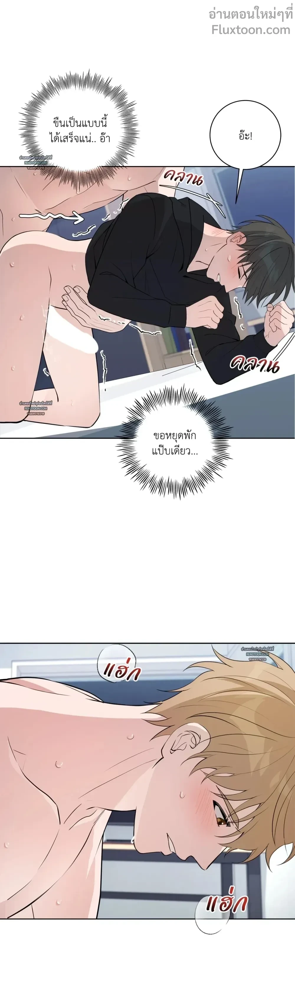 ภาพที่ 3