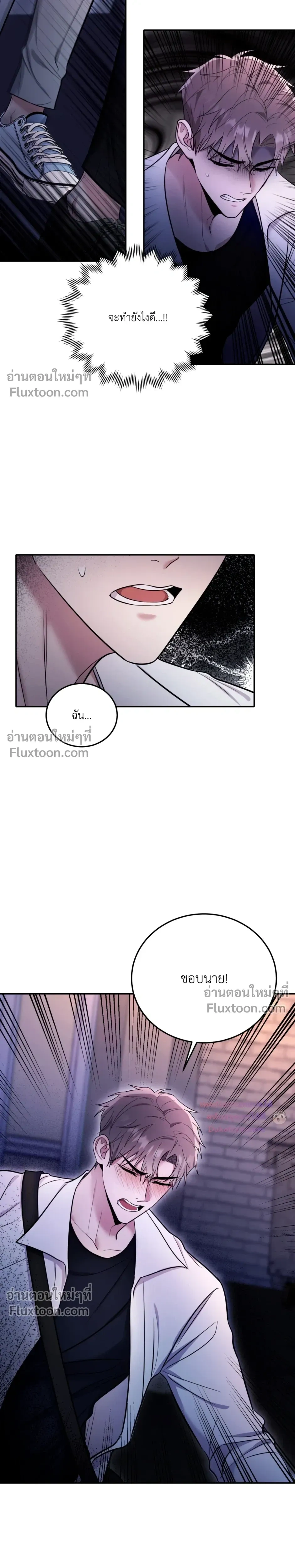 ภาพที่ 4