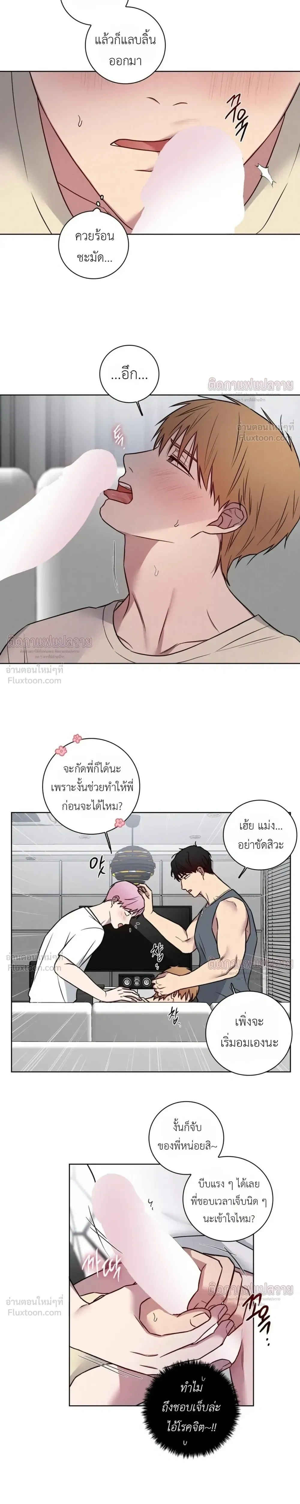 ภาพที่ 3