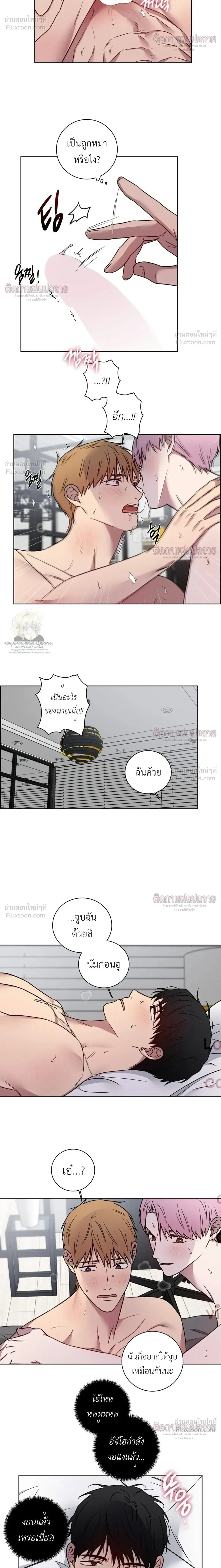 ภาพที่ 4
