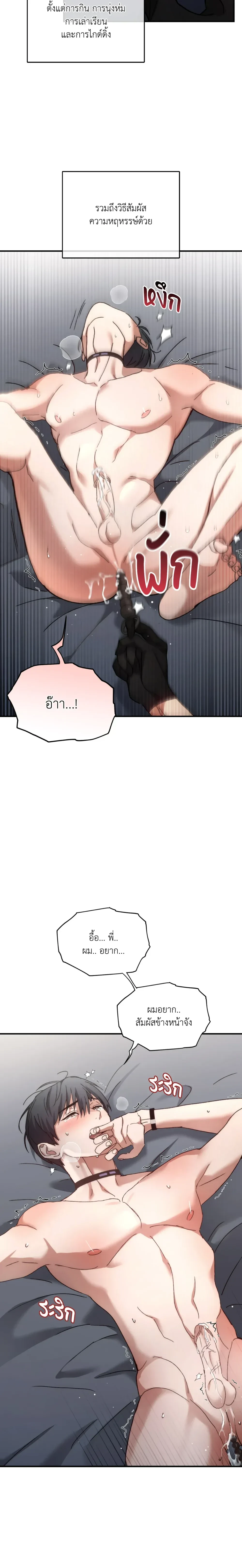 ภาพที่ 3