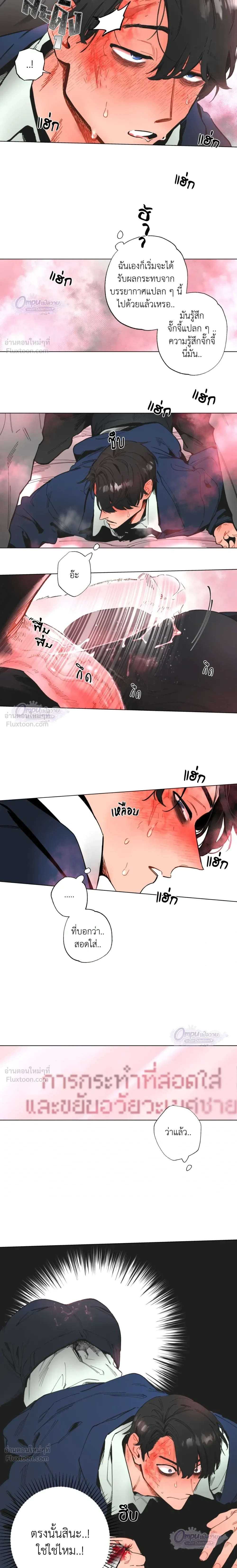 ภาพที่ 3