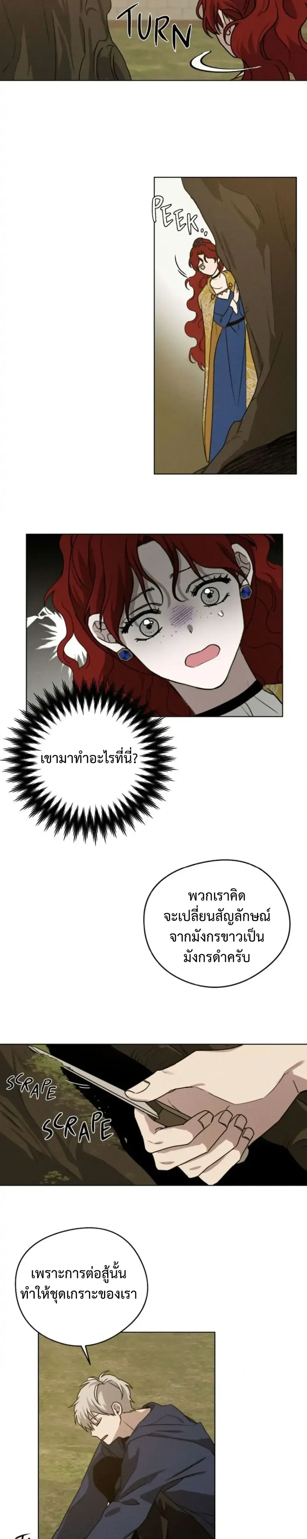 ภาพที่ 4