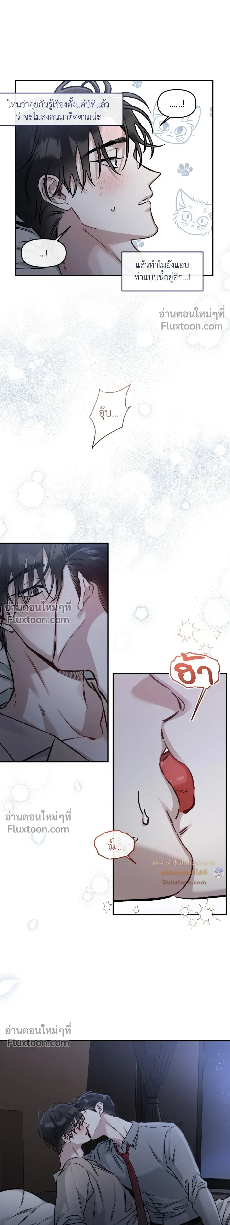 ภาพที่ 4