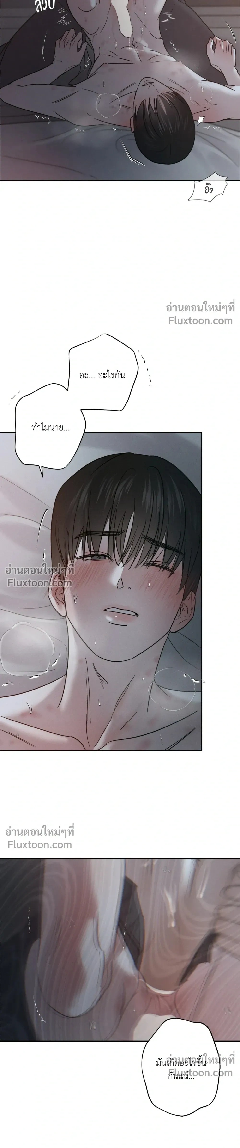 ภาพที่ 2