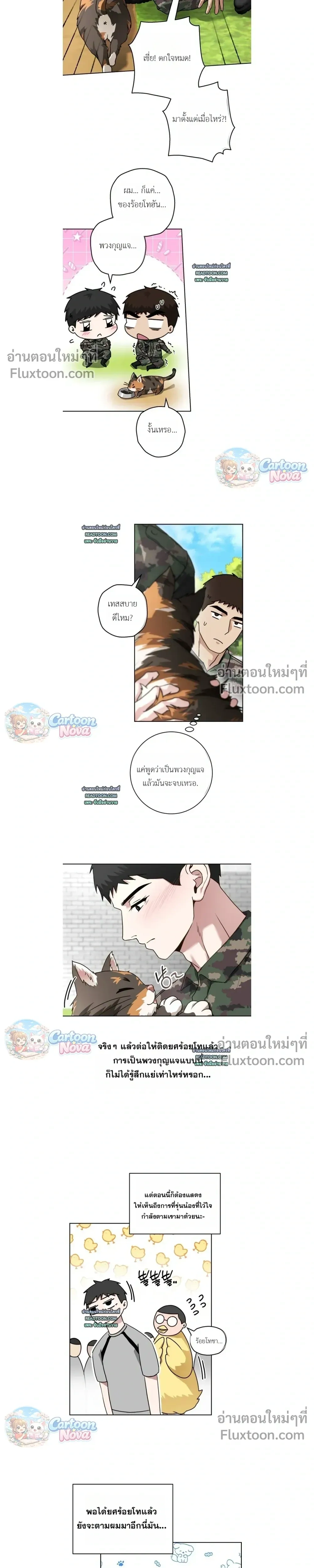 ภาพที่ 3