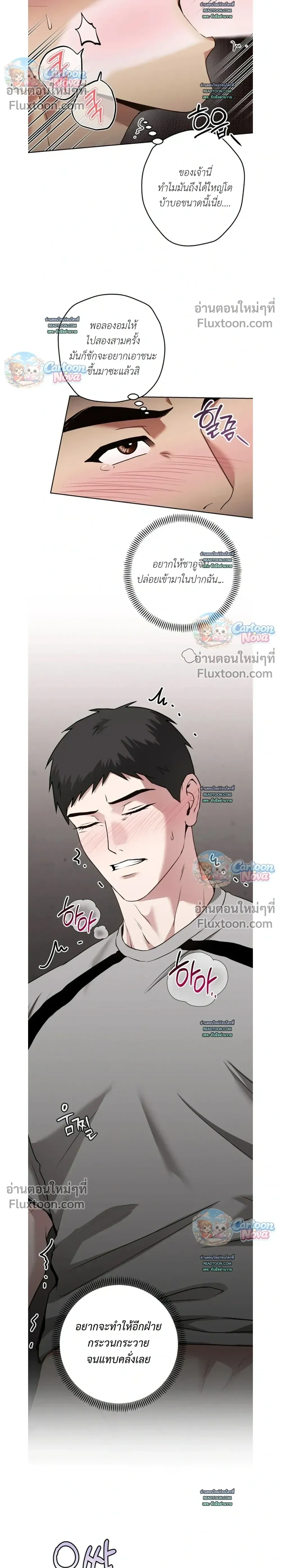 ภาพที่ 4
