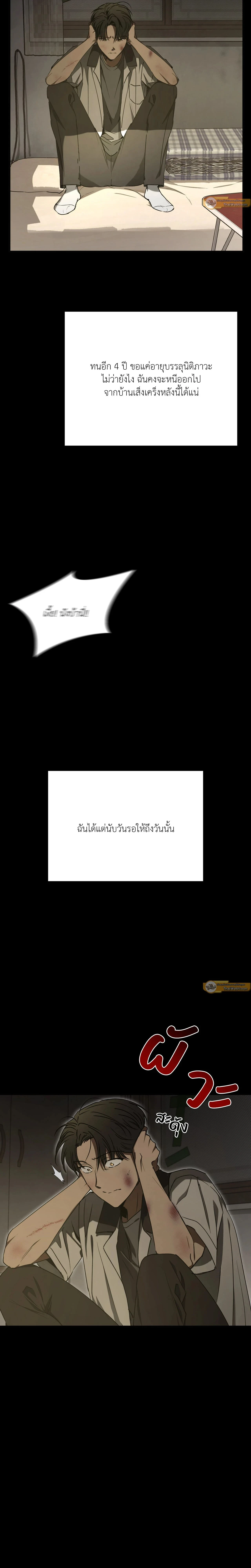 ภาพที่ 3