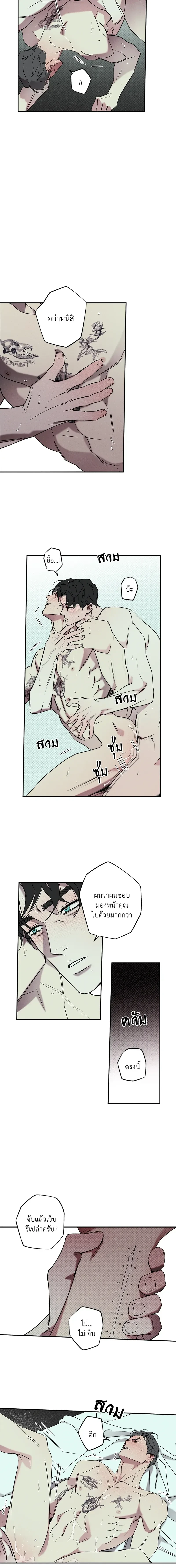 ภาพที่ 3