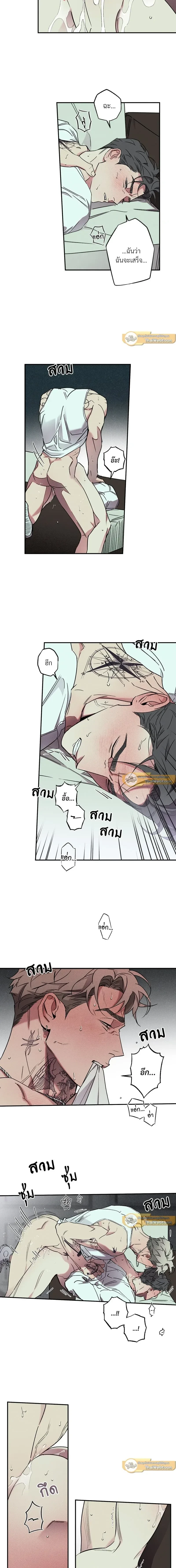 ภาพที่ 3