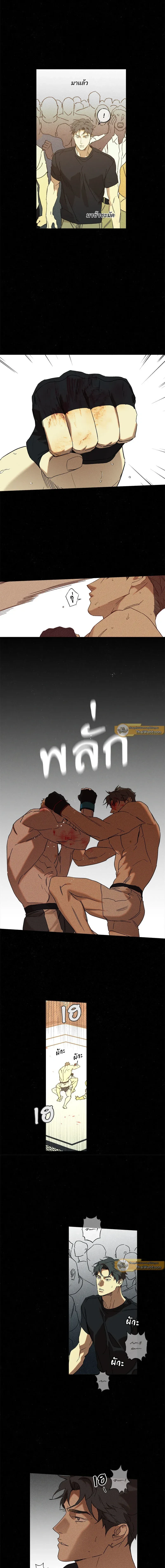 ภาพที่ 2