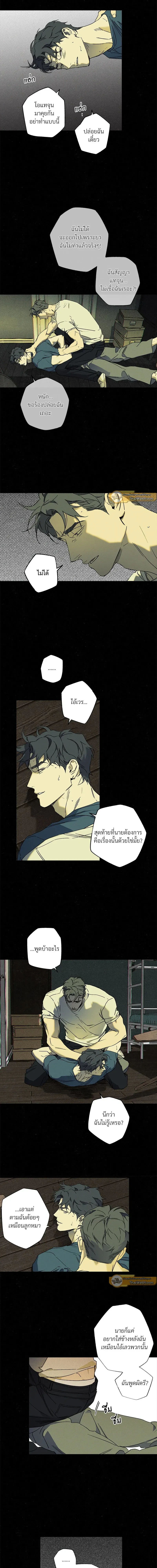 ภาพที่ 4